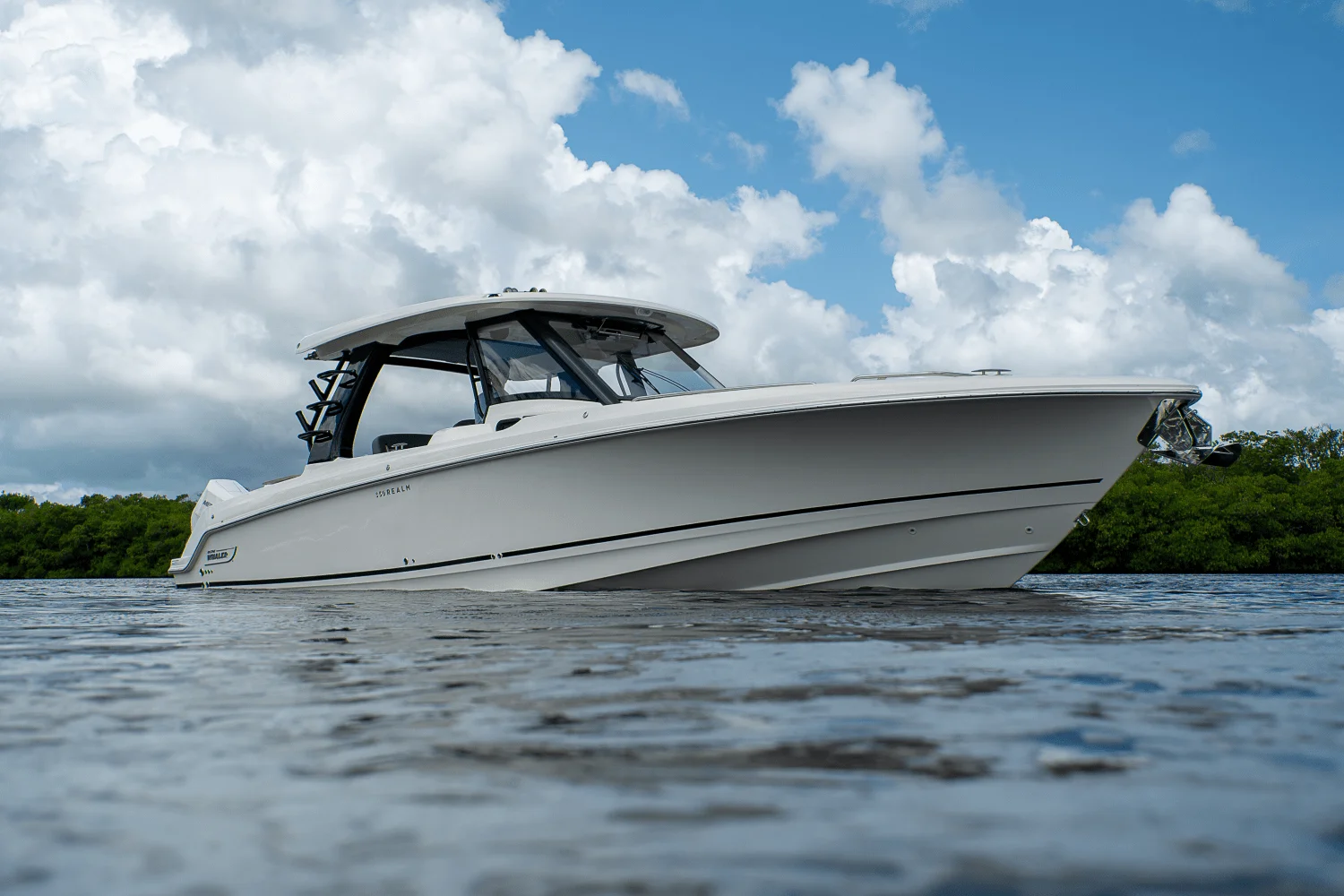 2025 Boston Whaler 350 Realm Image Thumbnail #0