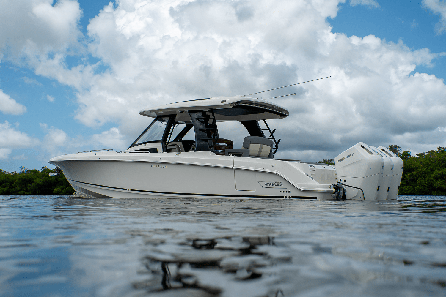 2025 Boston Whaler 350 Realm Image Thumbnail #42