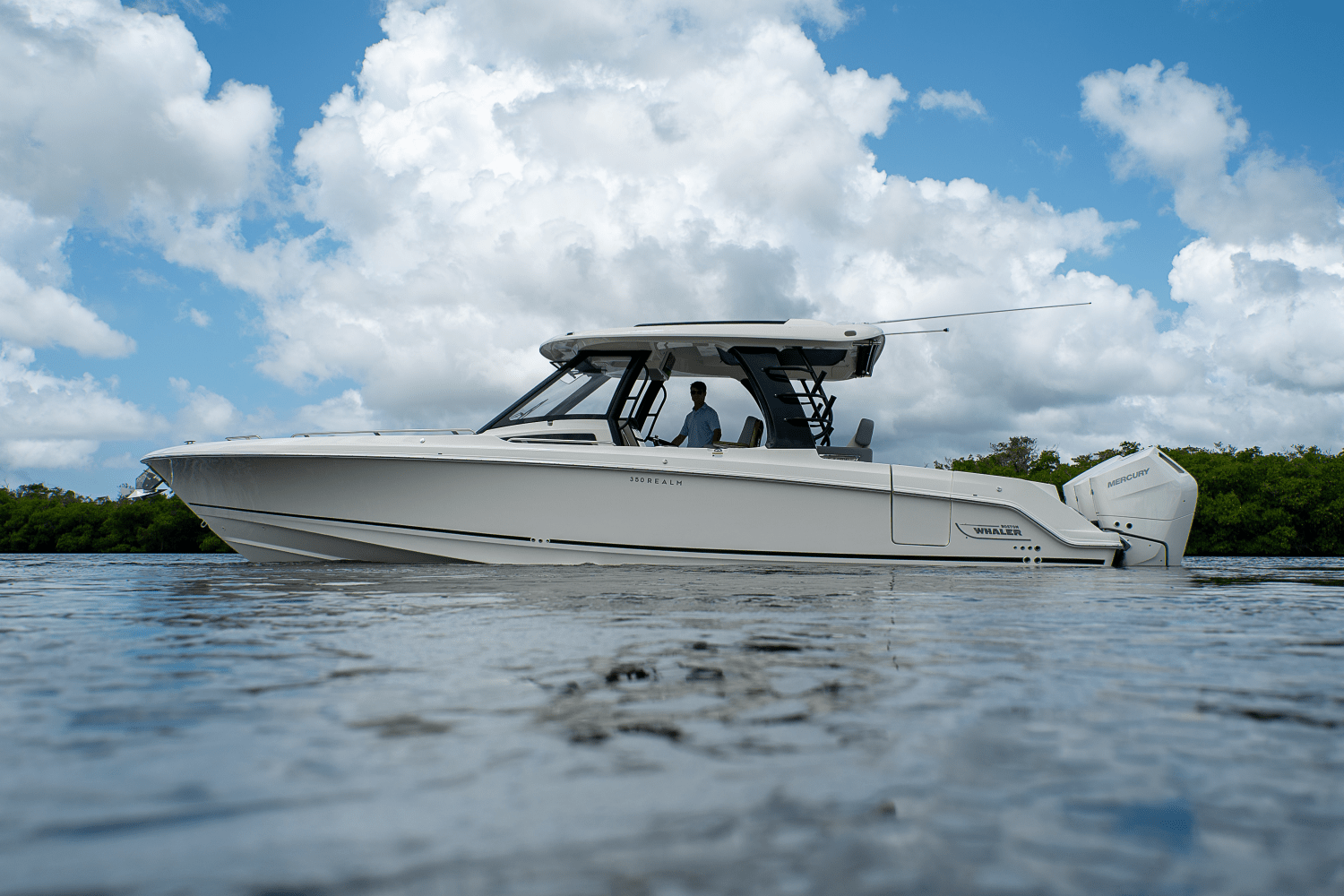 2025 Boston Whaler 350 Realm Image Thumbnail #40