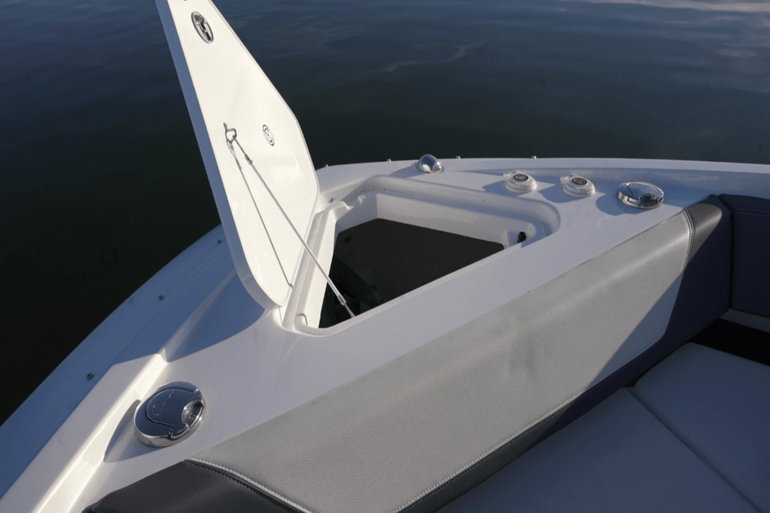 2022 Cruisers Yachts 42 GLS Image Thumbnail #29