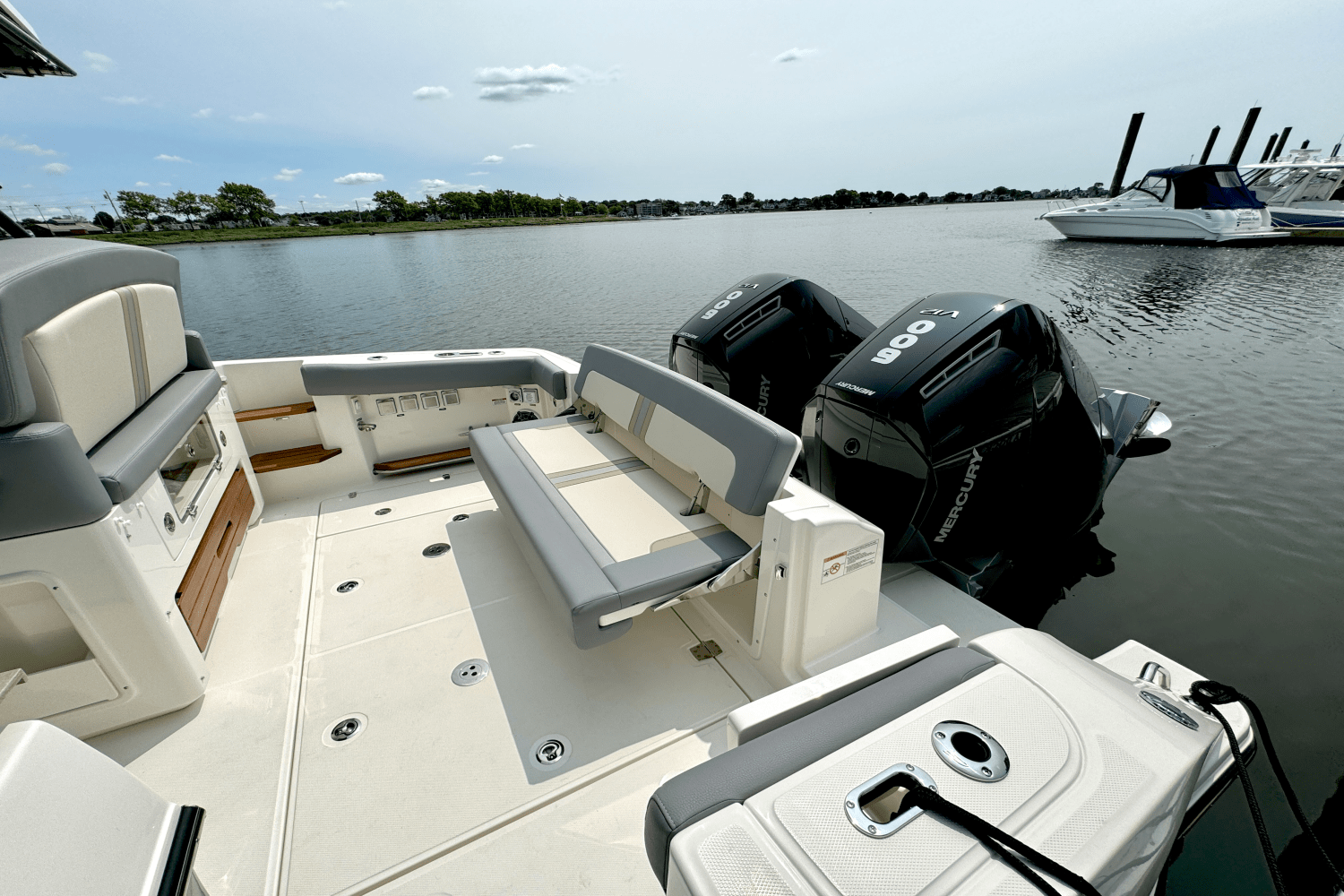 2025 Boston Whaler 380 Realm Image Thumbnail #19
