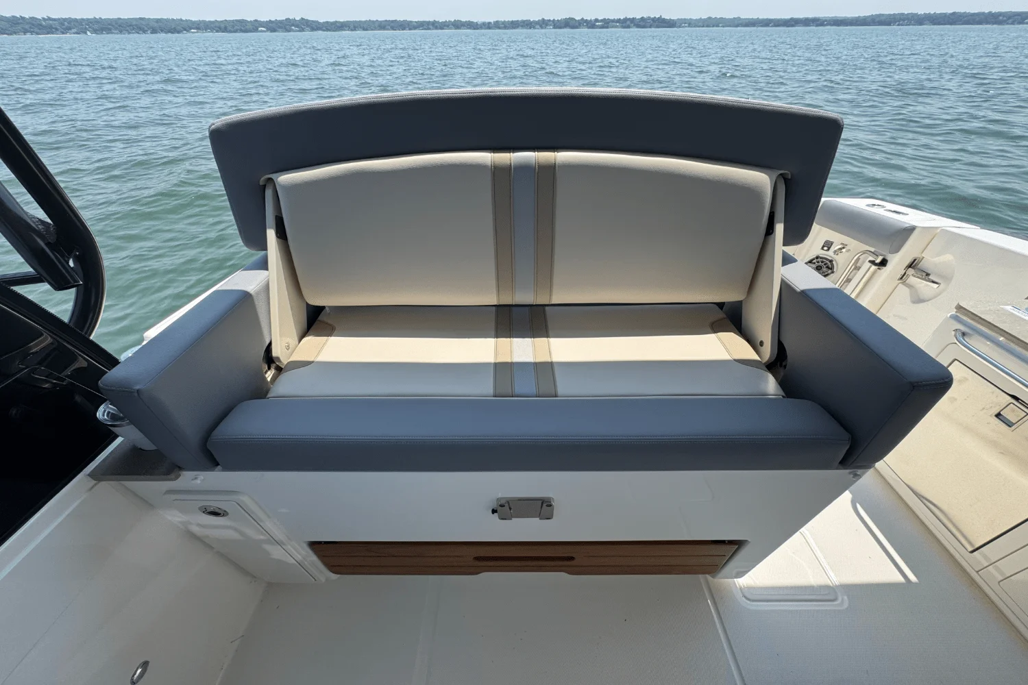 2025 Boston Whaler 380 Realm Image Thumbnail #9