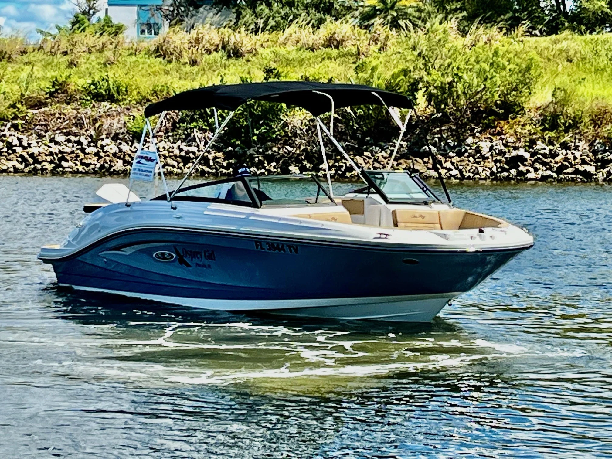 2024 Sea Ray 230 SPX-OB Image Thumbnail #2
