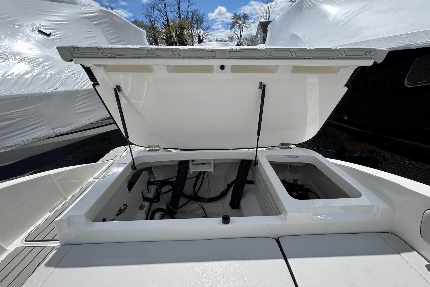 2025 Sea Ray SPX 210 Outboard Image Thumbnail #14