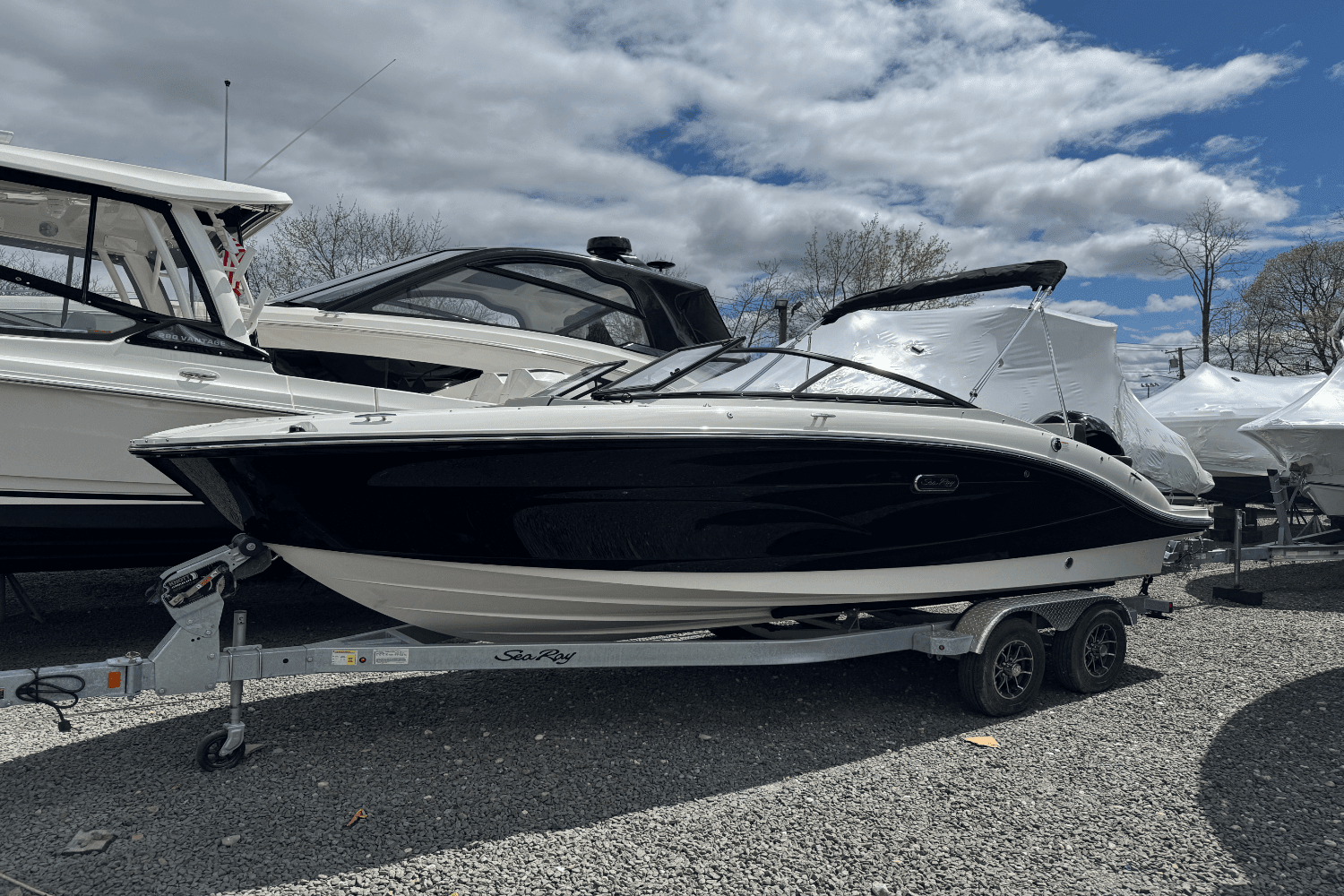 2025 Sea Ray SPX 210 Outboard Image Thumbnail #1
