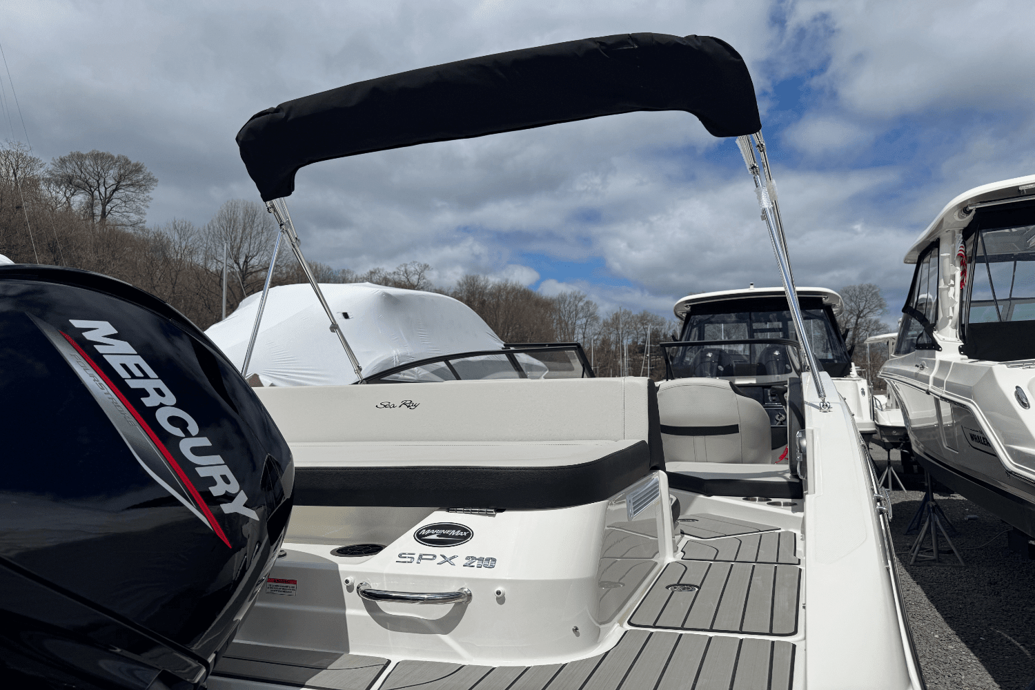 2025 Sea Ray SPX 210 Outboard Image Thumbnail #5