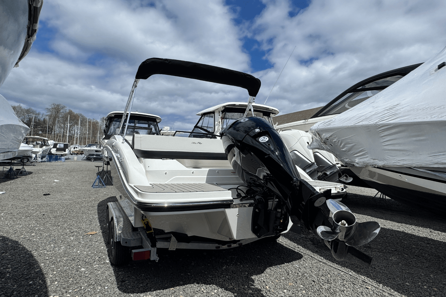 2025 Sea Ray SPX 210 Outboard Image Thumbnail #2