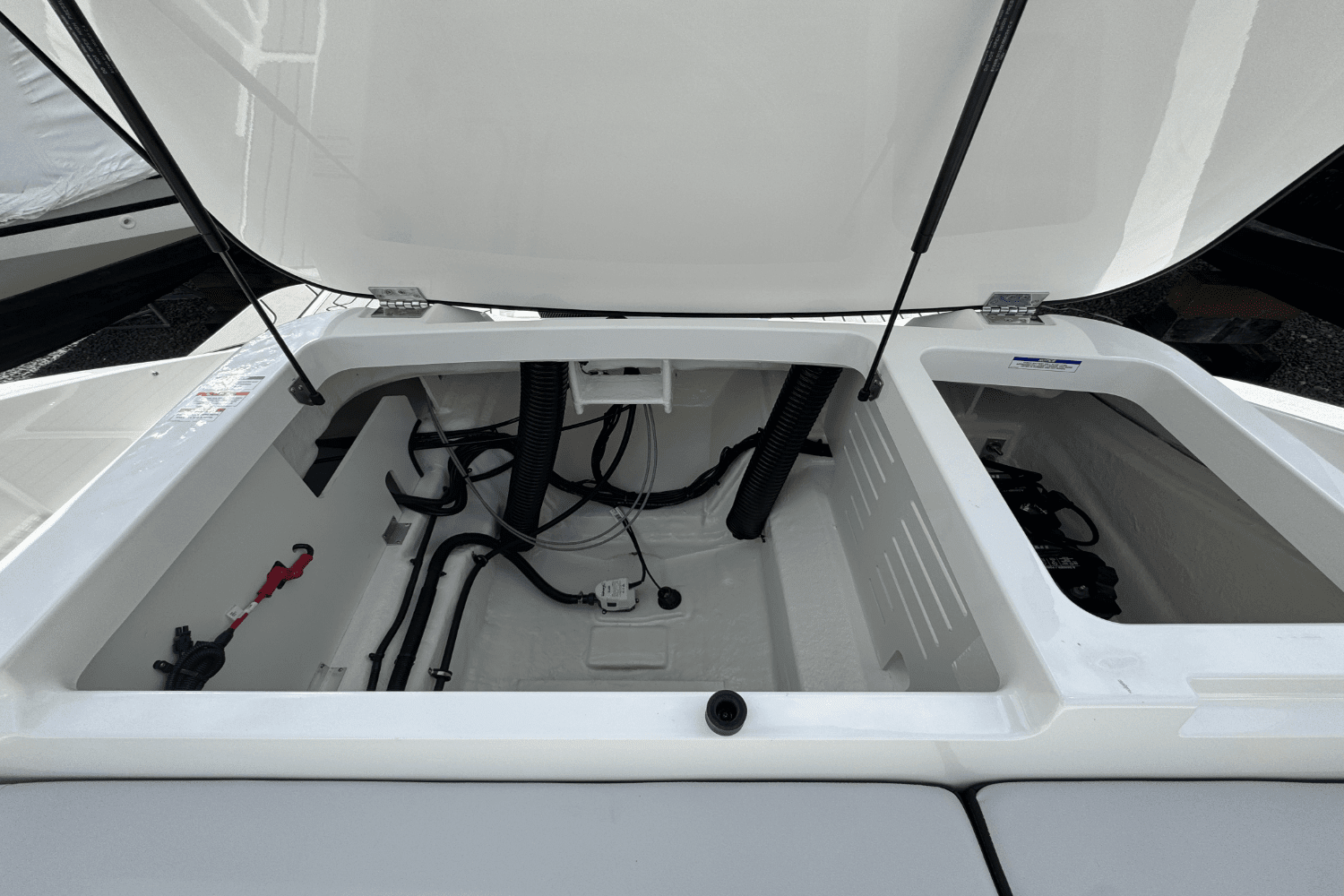 2025 Sea Ray SPX 210 Outboard Image Thumbnail #15