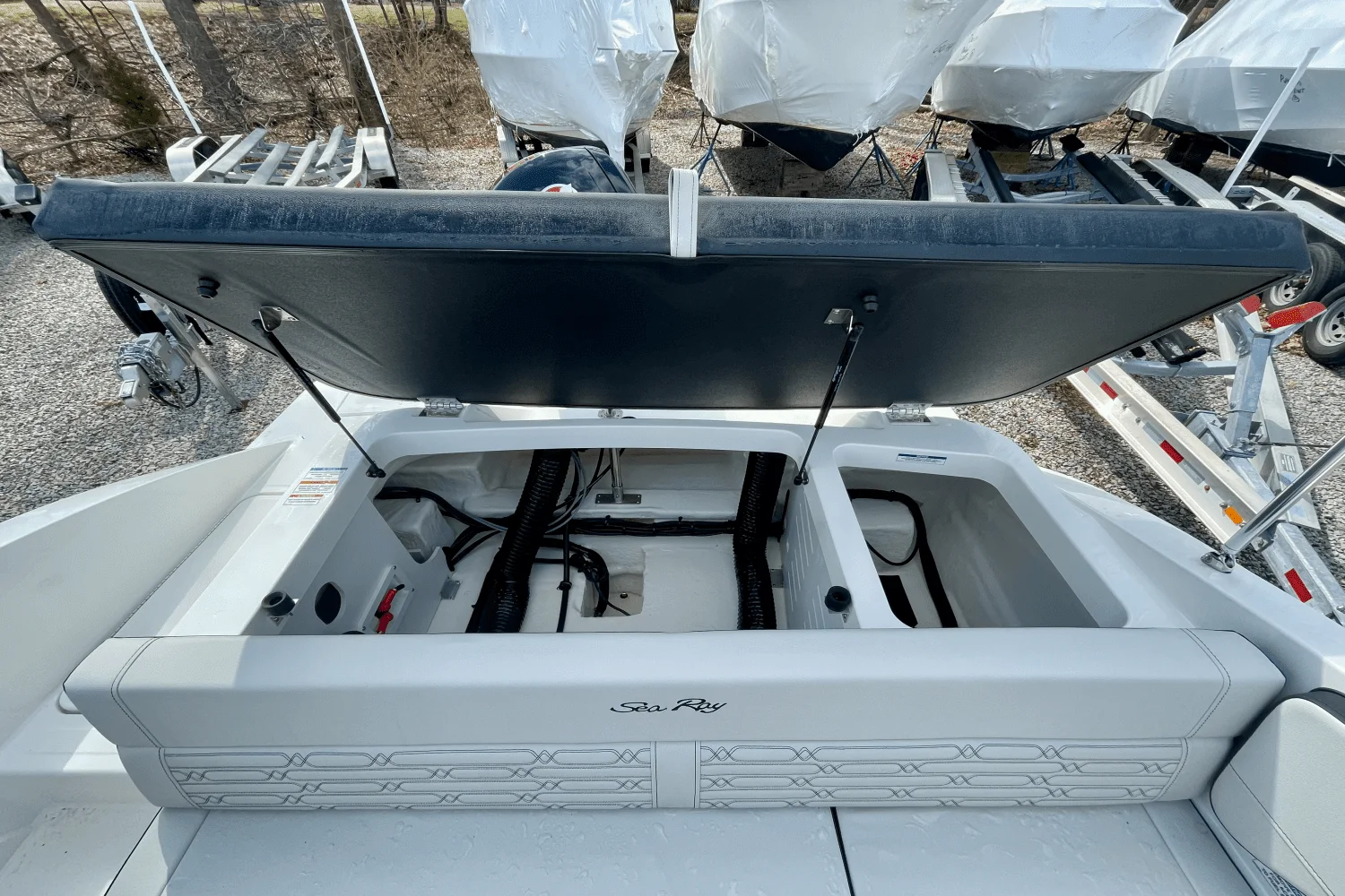 2025 Sea Ray SPX 190 Outboard Image Thumbnail #4
