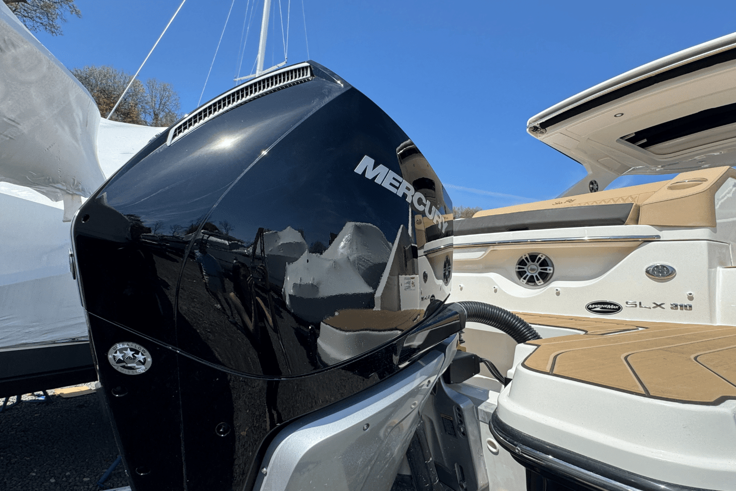 2025 Sea Ray SLX 310 Outboard Image Thumbnail #6
