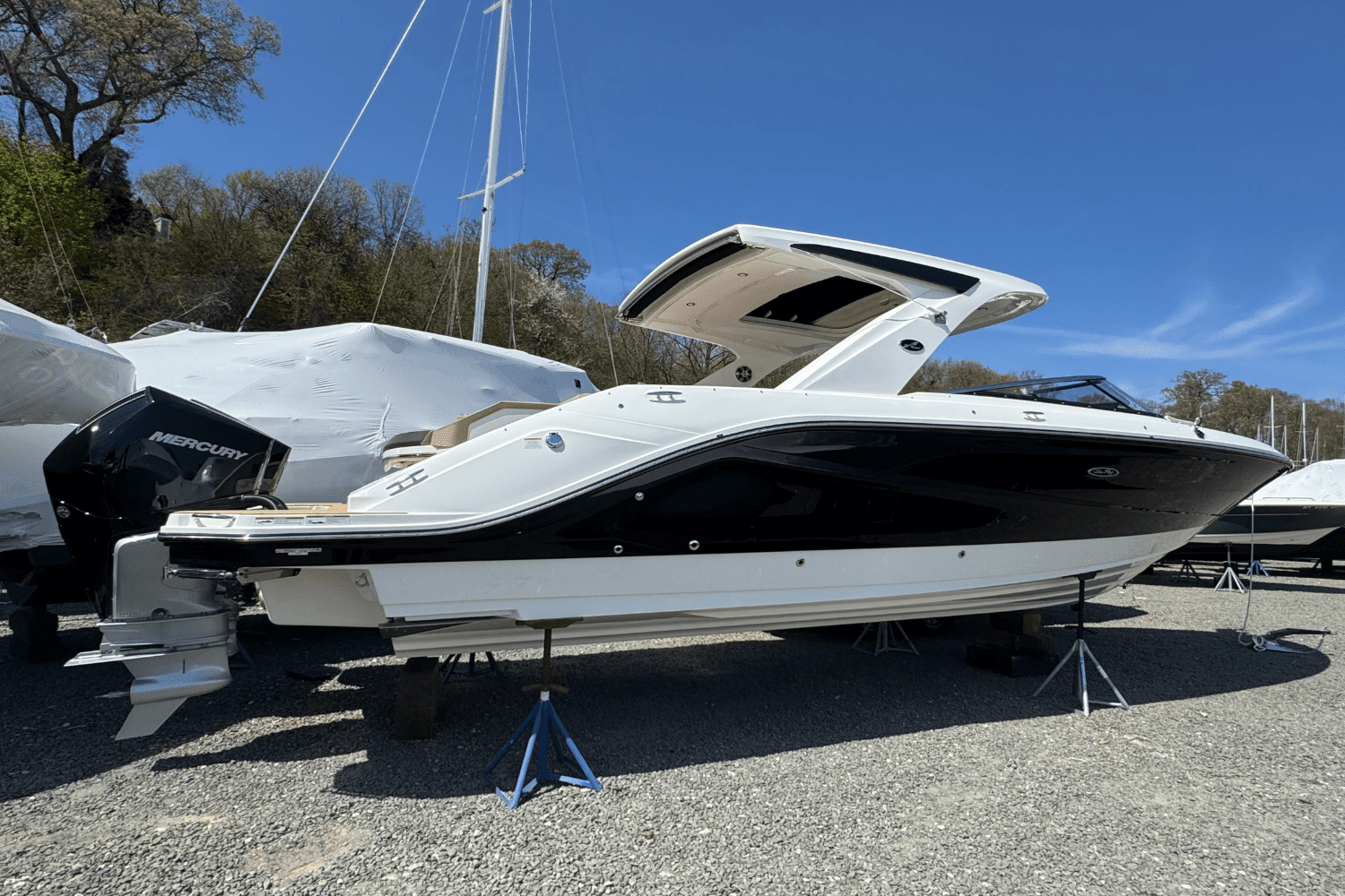 2025 Sea Ray SLX 310 Outboard Image Thumbnail #3