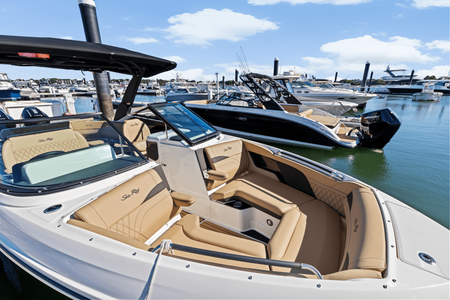 2025 Sea Ray SLX 280 Image Thumbnail #31