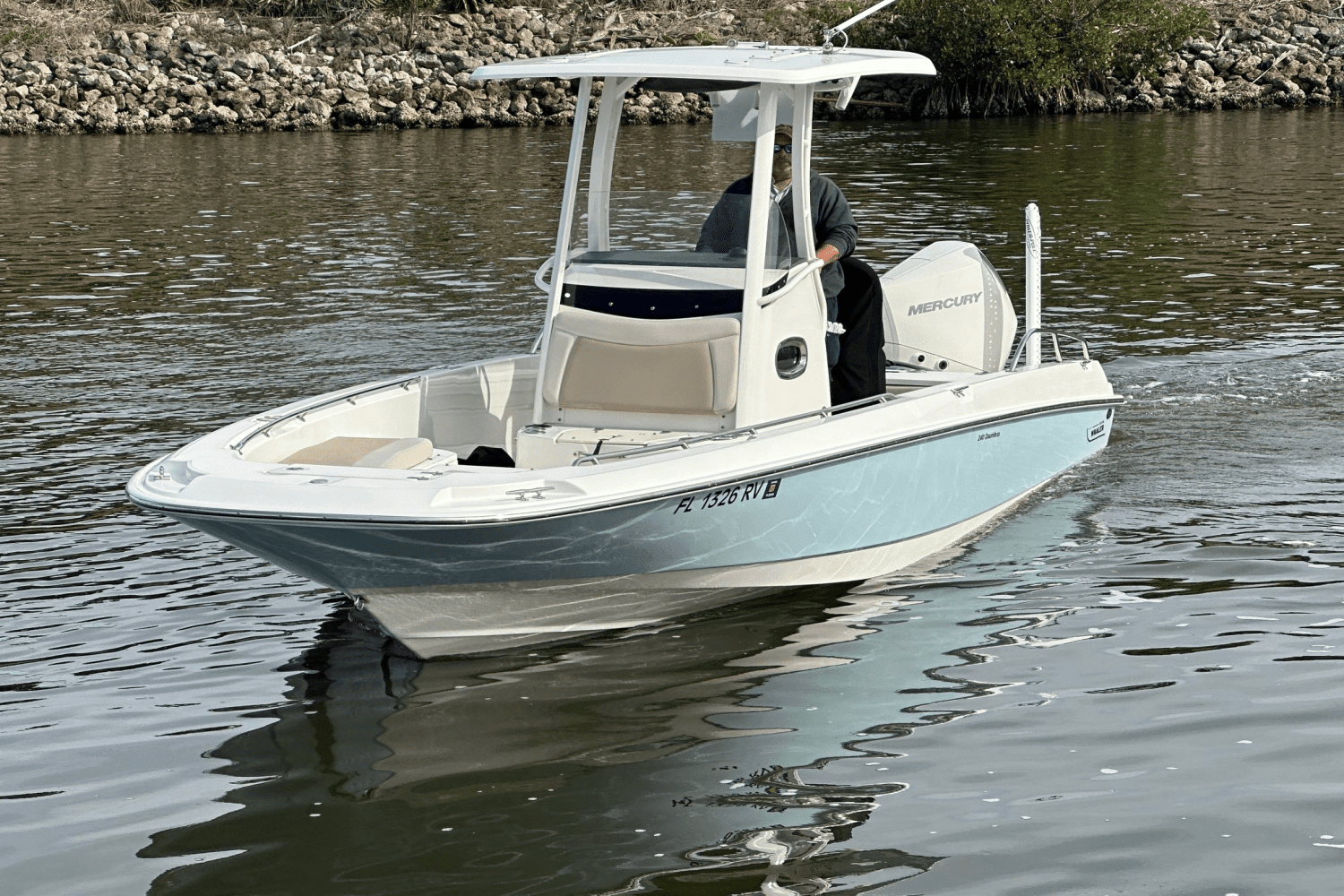 2019 Boston Whaler 240 DAUNTLESS Image Thumbnail #1