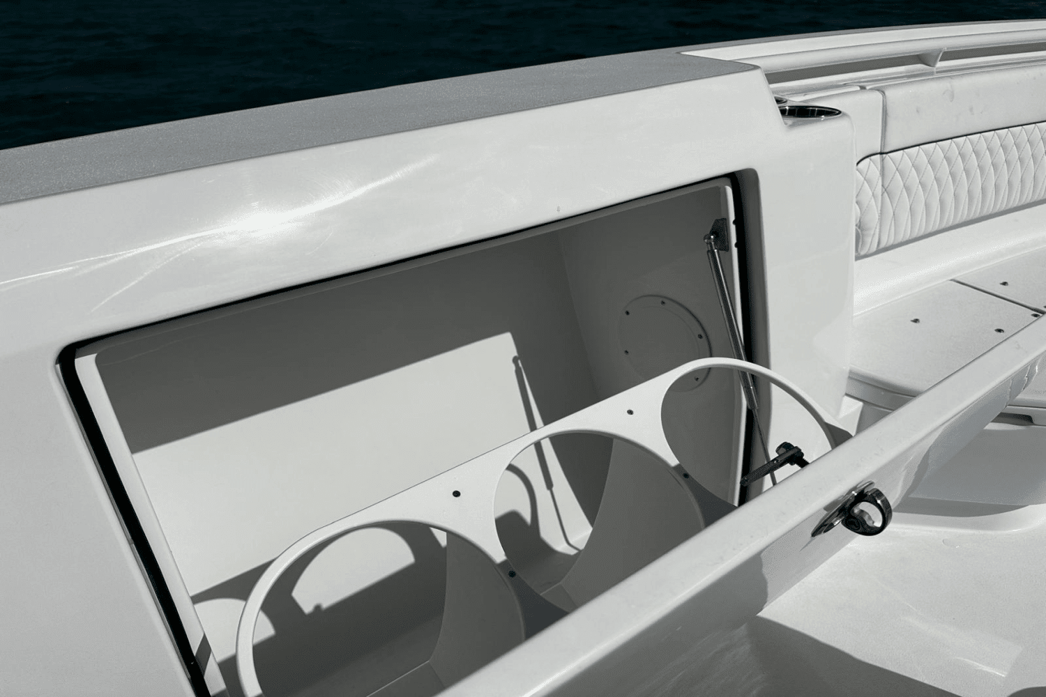 2025 Intrepid 41 PANACEA Image Thumbnail #22