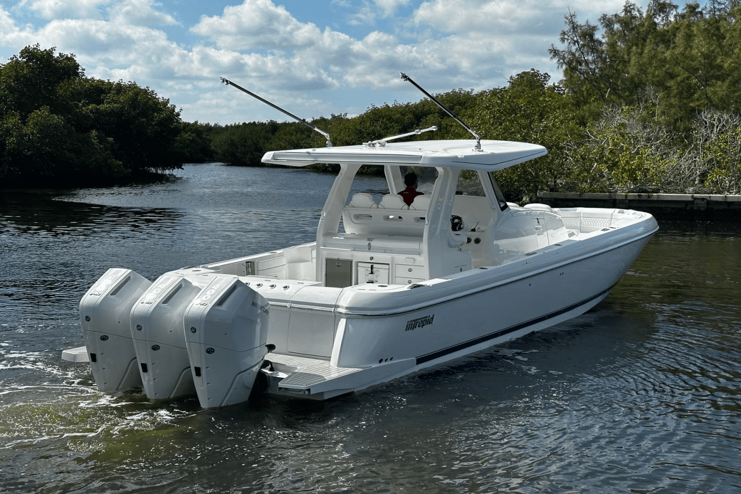 2025 Intrepid 41 PANACEA Image Thumbnail #8