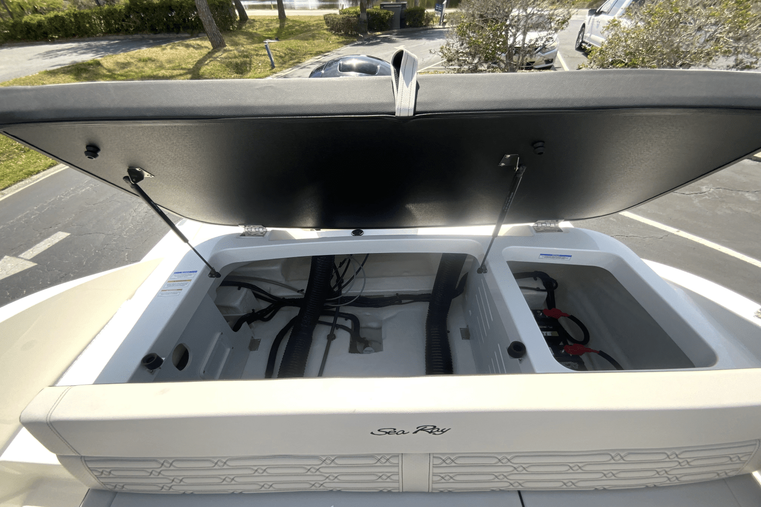 2025 Sea Ray SPX 190 Outboard Image Thumbnail #16