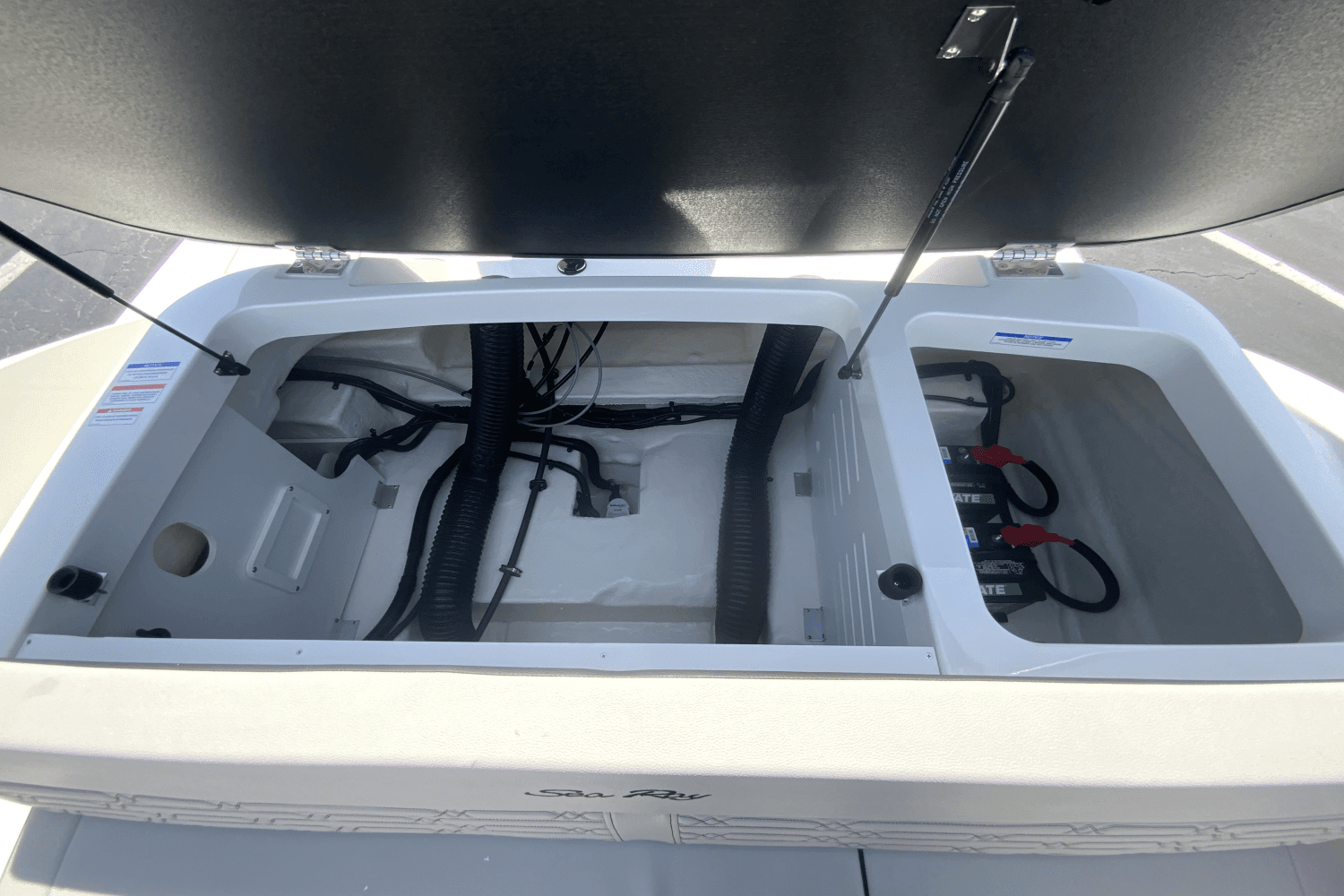 2025 Sea Ray SPX 190 Outboard Image Thumbnail #18
