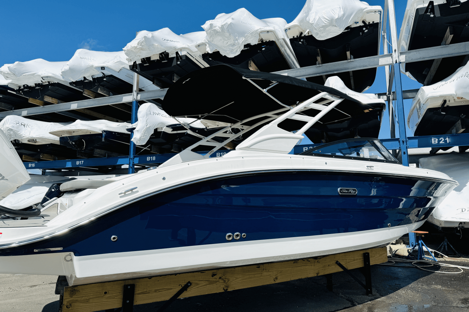 2025 Sea Ray SDX 250 Outboard Image Thumbnail #5