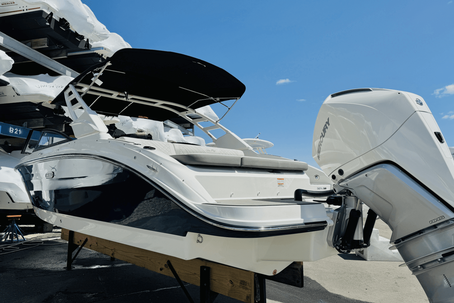 2025 Sea Ray SDX 250 Outboard Image Thumbnail #7