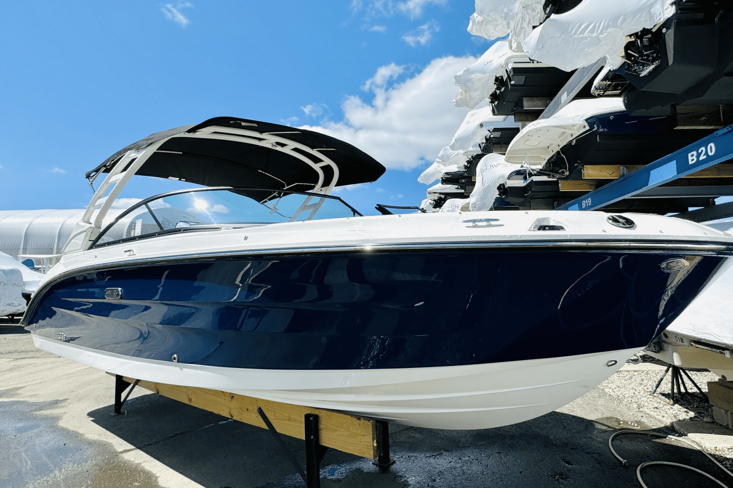 2025 Sea Ray SDX 250 Outboard Image Thumbnail #2