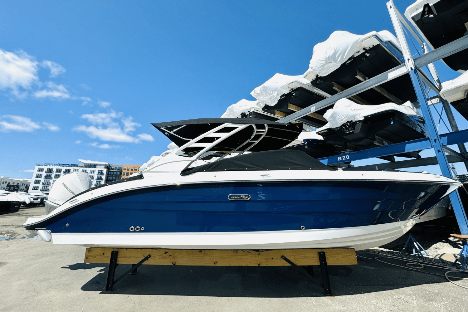 2025 Sea Ray SDX 250 Outboard Image Thumbnail #3