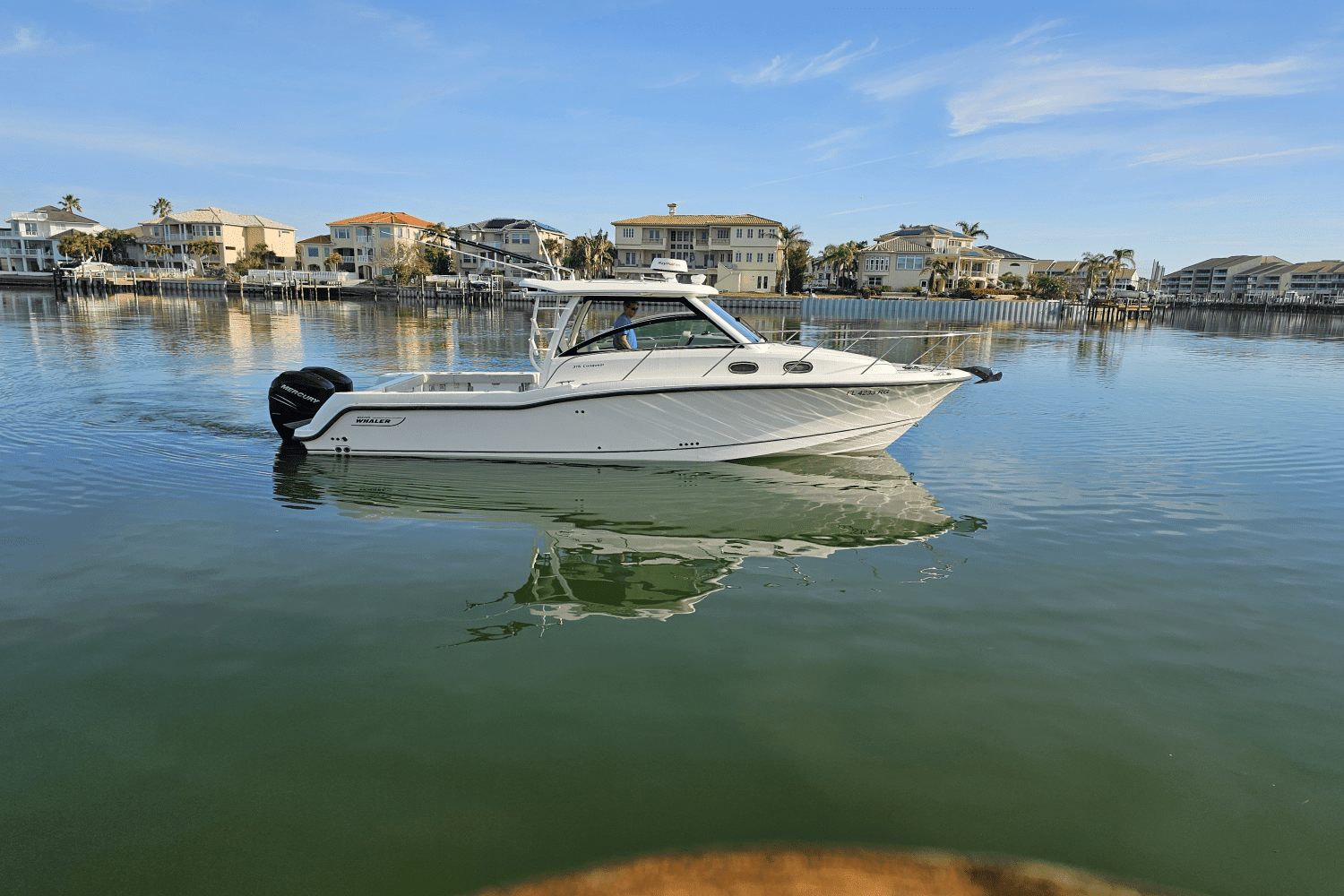 2017 Boston Whaler 315 CONQUEST Image Thumbnail #1