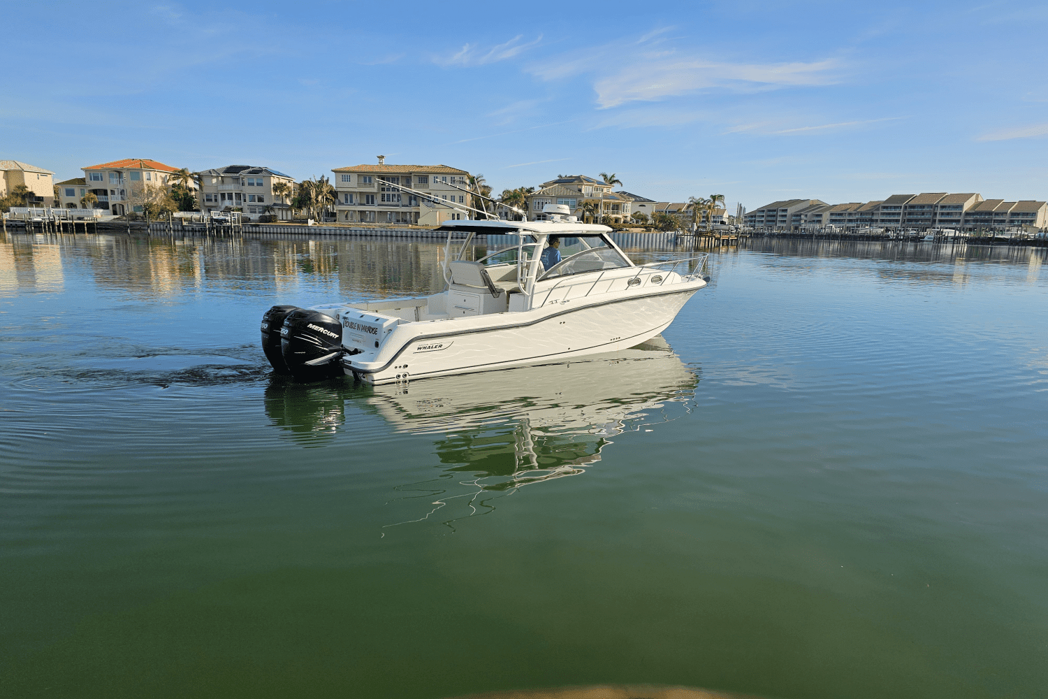 2017 Boston Whaler 315 CONQUEST Image Thumbnail #7