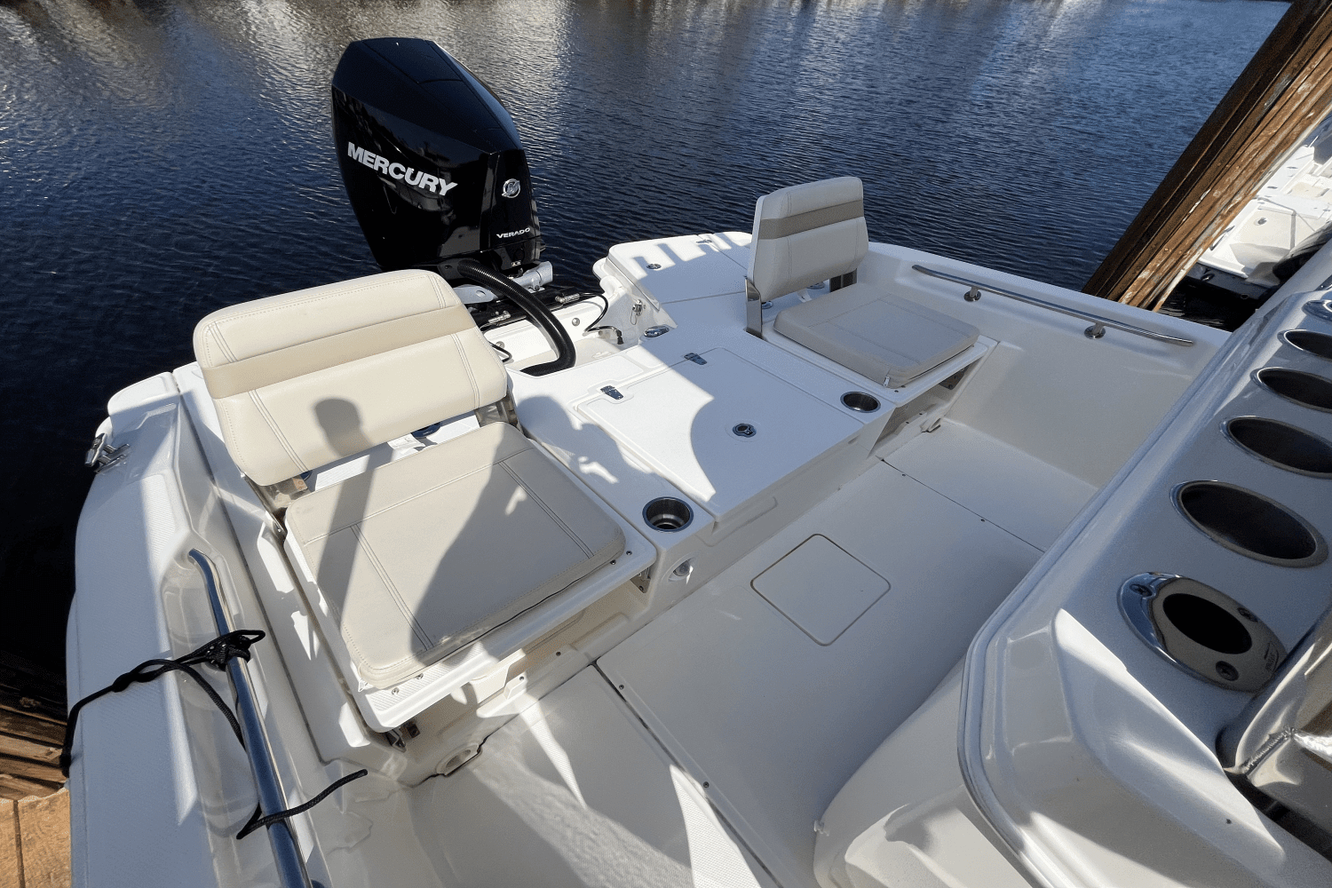 2023 Boston Whaler 250 DAUNTLESS Image Thumbnail #6