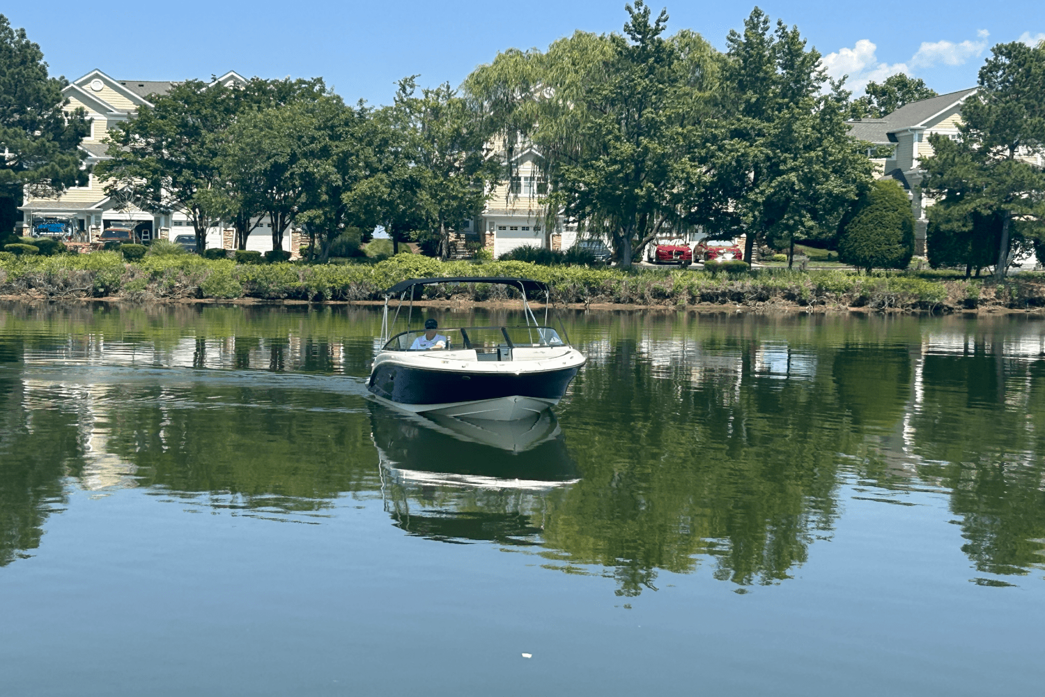 2025 Sea Ray SPX 190 Outboard Image Thumbnail #7