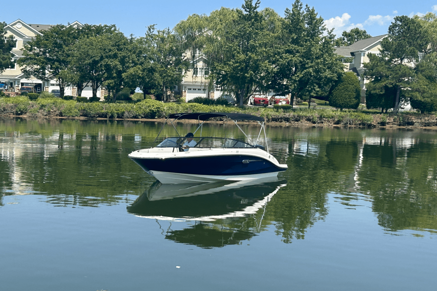 2025 Sea Ray SPX 190 Outboard Image Thumbnail #6