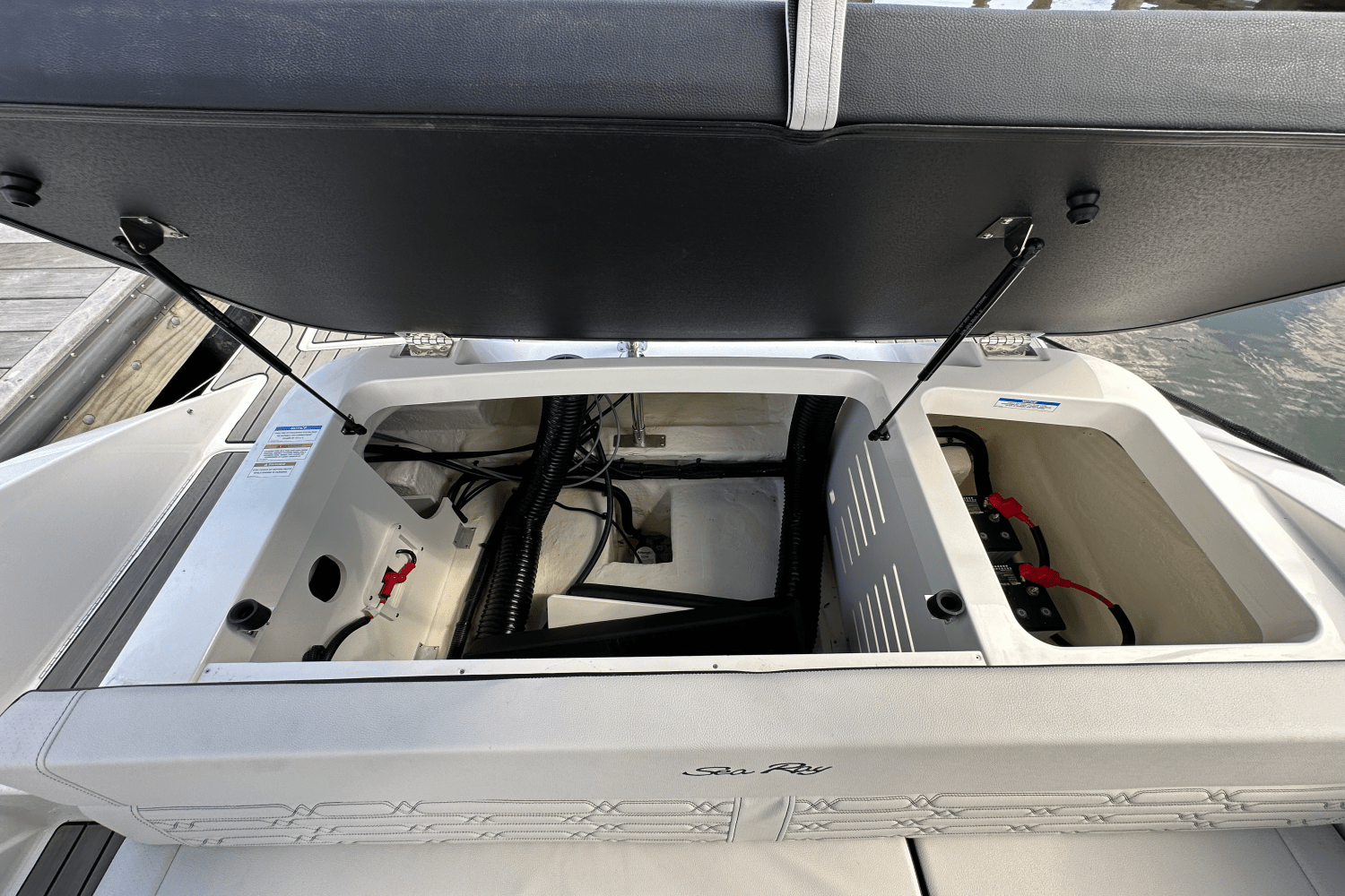 2025 Sea Ray SPX 190 Outboard Image Thumbnail #14