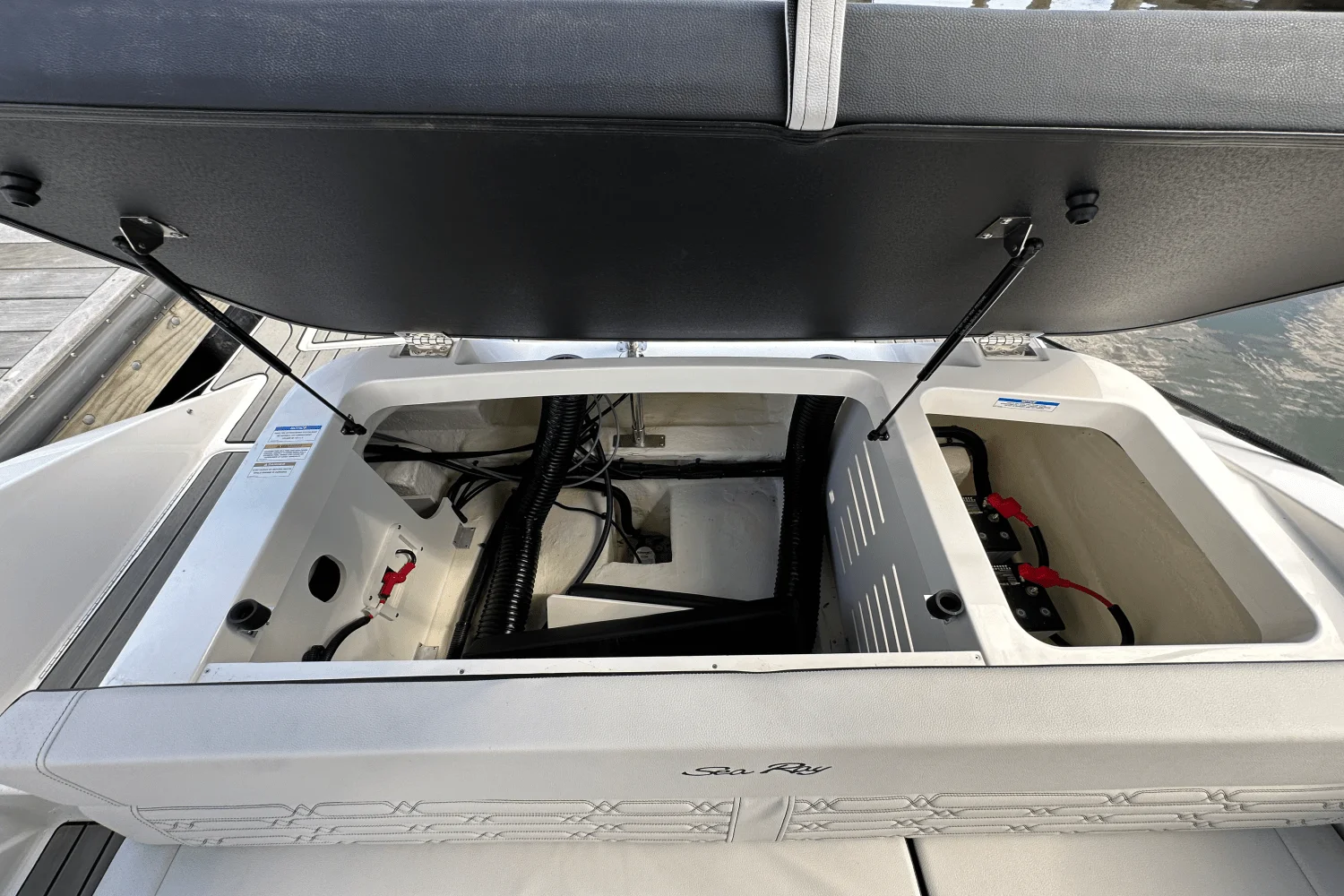 2025 Sea Ray SPX 190 Outboard Image Thumbnail #14