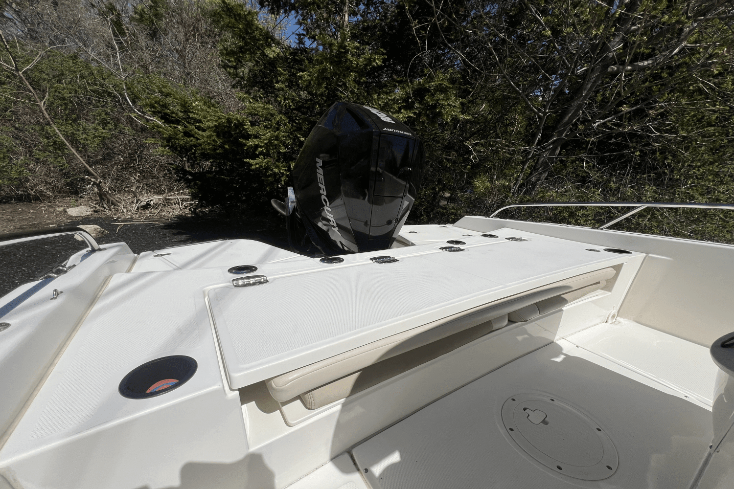 2019 Boston Whaler 210 DAUNTLESS Image Thumbnail #4