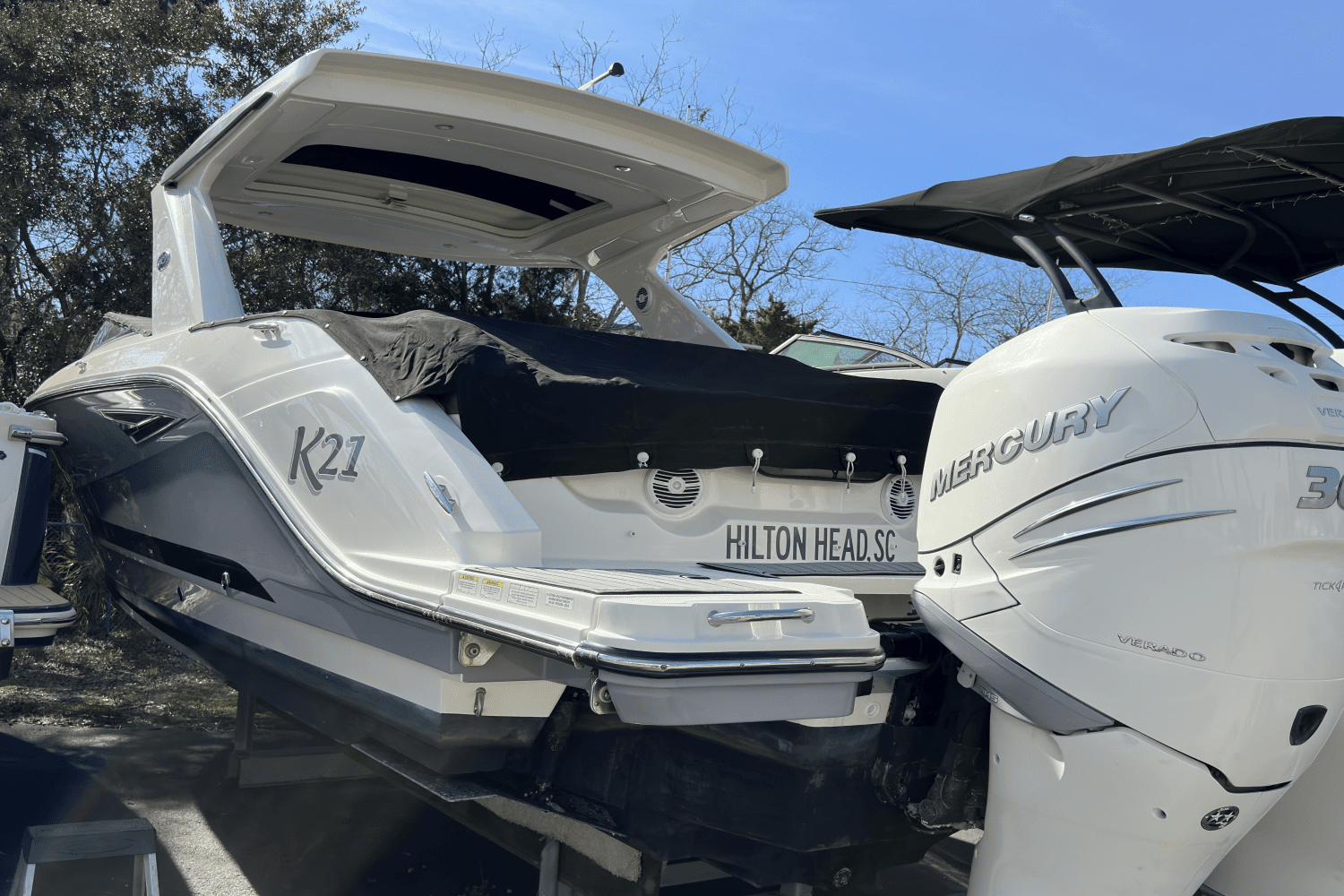2017 Sea Ray 310 SLX OB Image Thumbnail #2