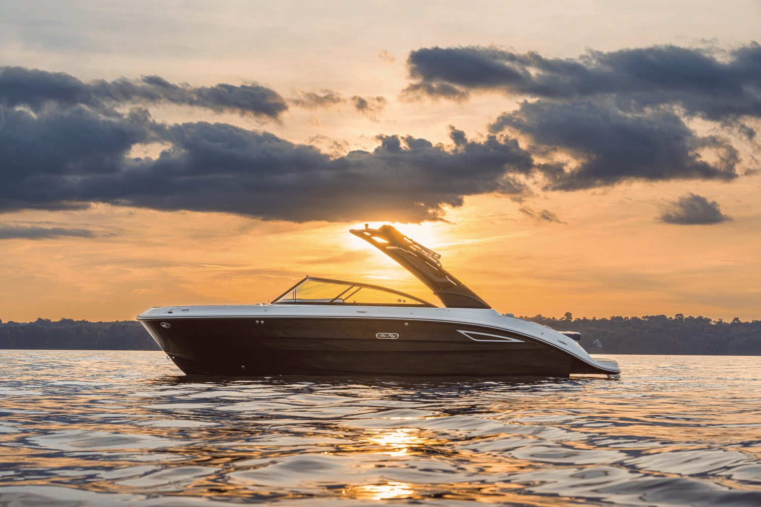 2025 Sea Ray
                                                             250 SDX Image Thumbnail #0
