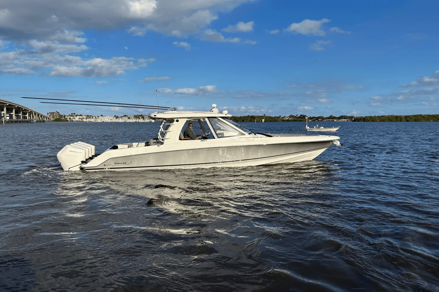 2024 Boston Whaler 380 REALM Image Thumbnail #0