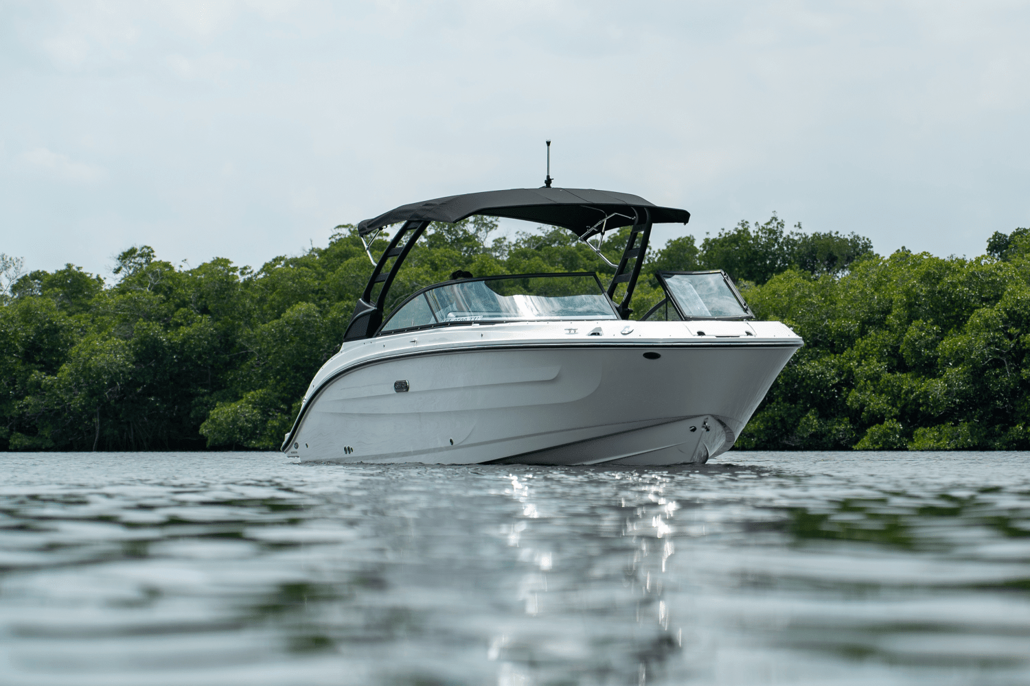 2025 Sea Ray SDX 250 Outboard Image Thumbnail #30