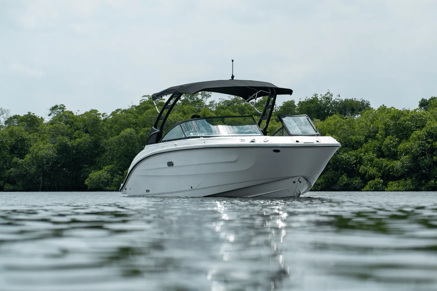2025 Sea Ray SDX 250 Outboard Image Thumbnail #30