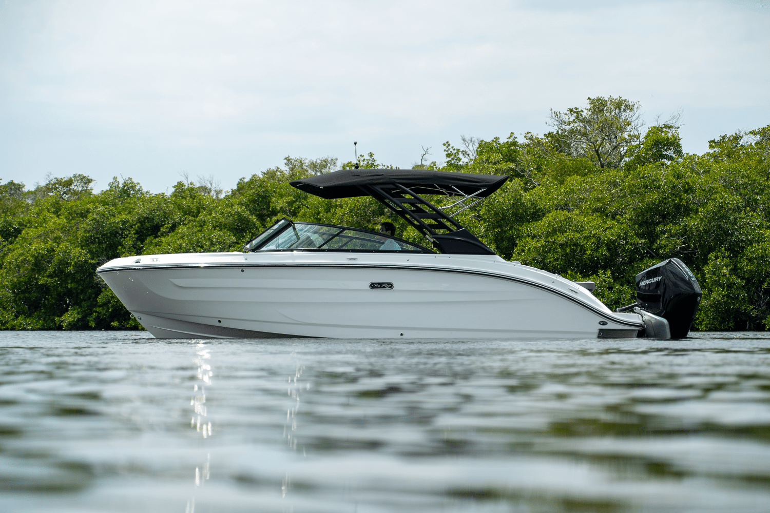 2025 Sea Ray SDX 250 Outboard Image Thumbnail #33