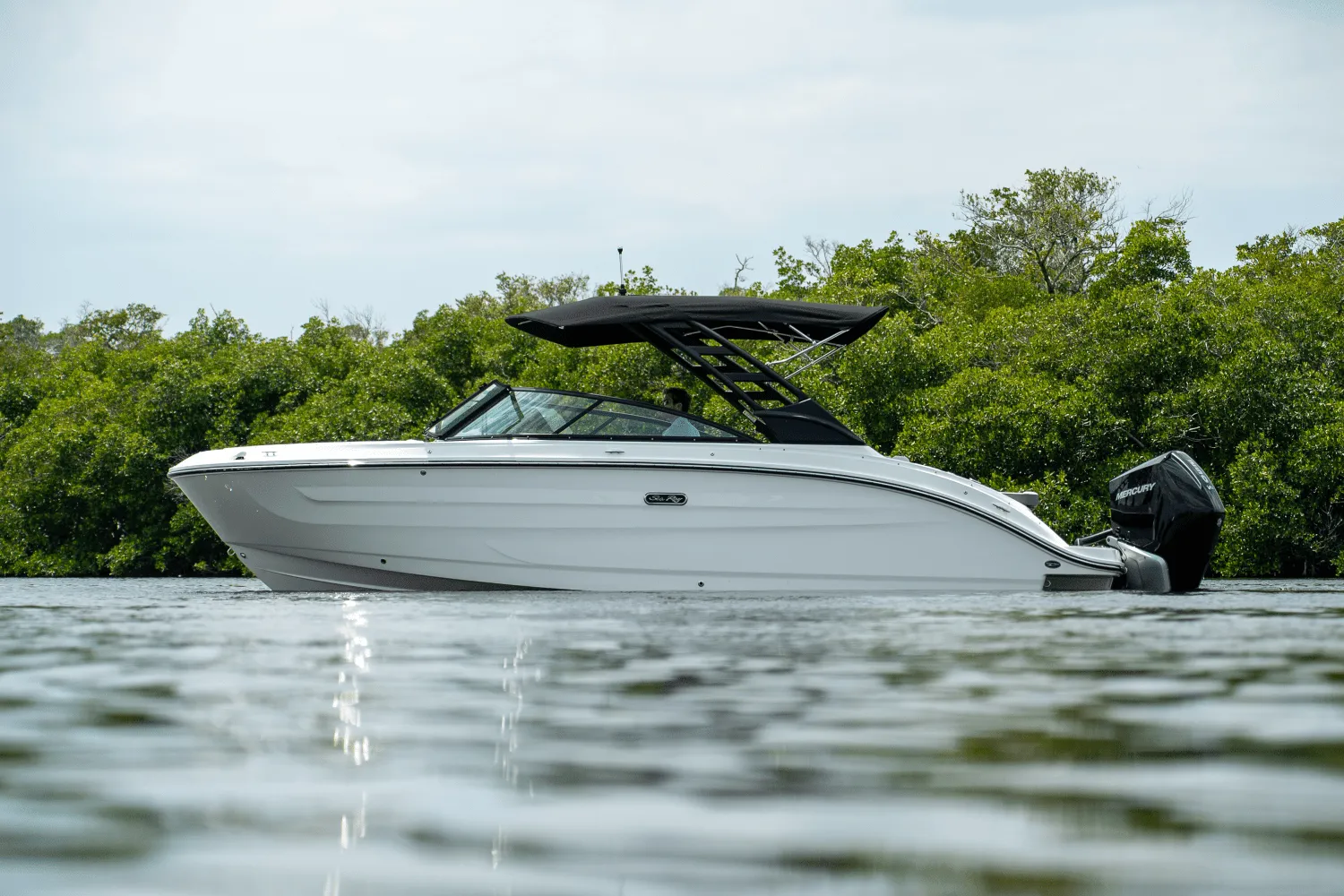 2025 Sea Ray SDX 250 Outboard Image Thumbnail #33