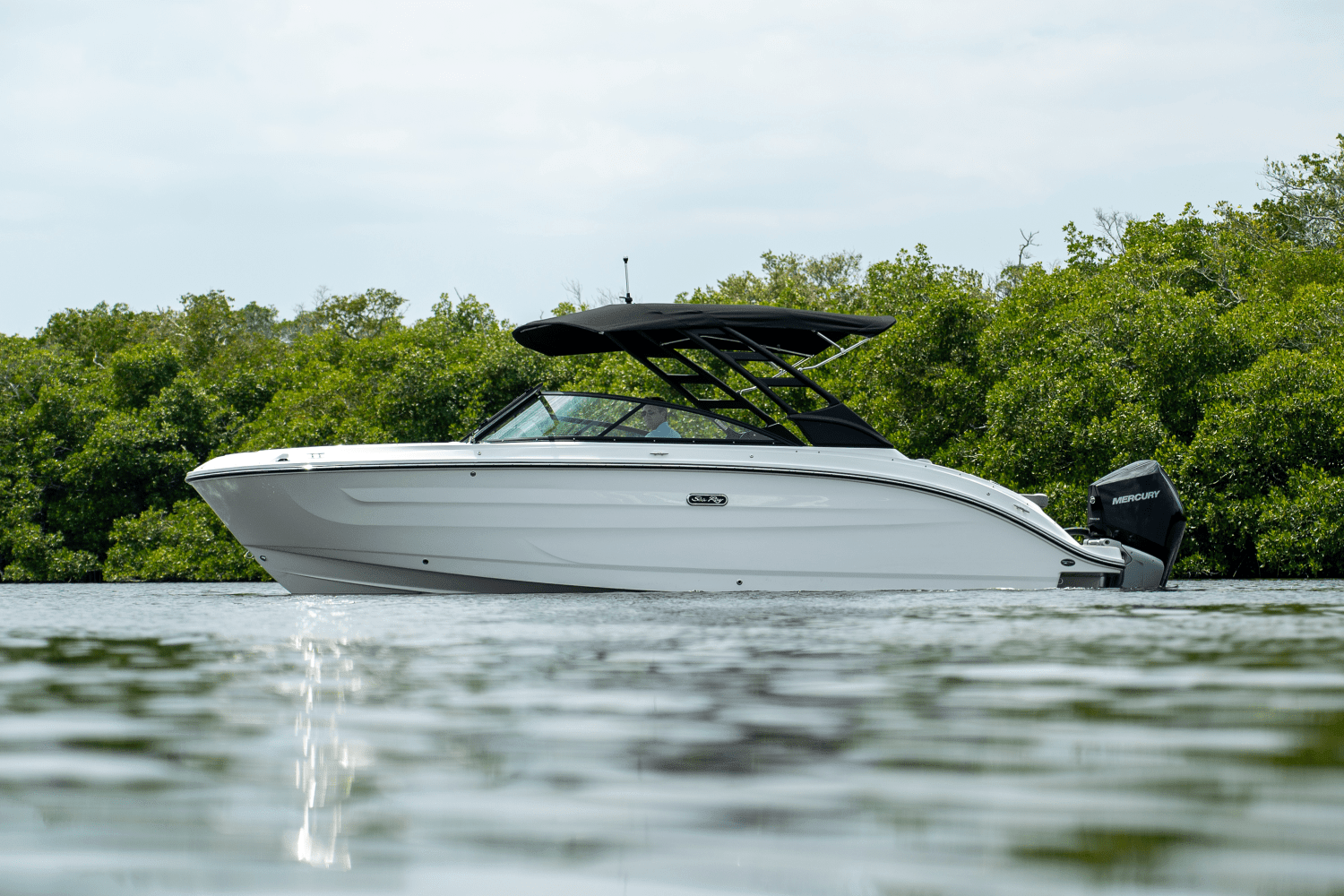 2025 Sea Ray SDX 250 Outboard Image Thumbnail #2