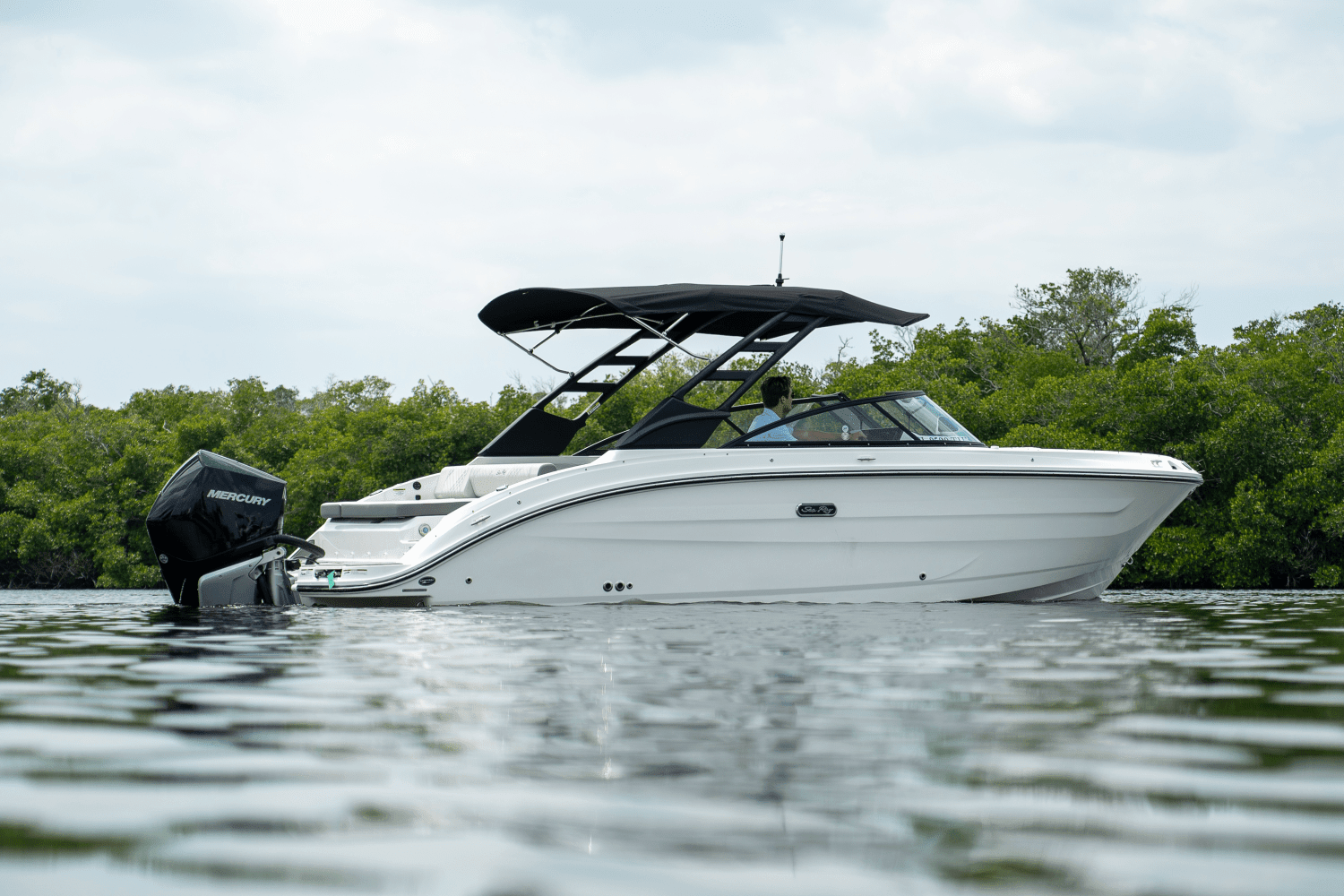 2025 Sea Ray SDX 250 Outboard Image Thumbnail #28