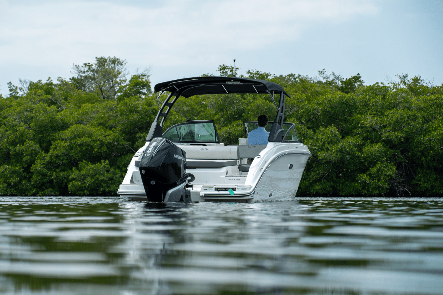 2025 Sea Ray SDX 250 Outboard Image Thumbnail #26