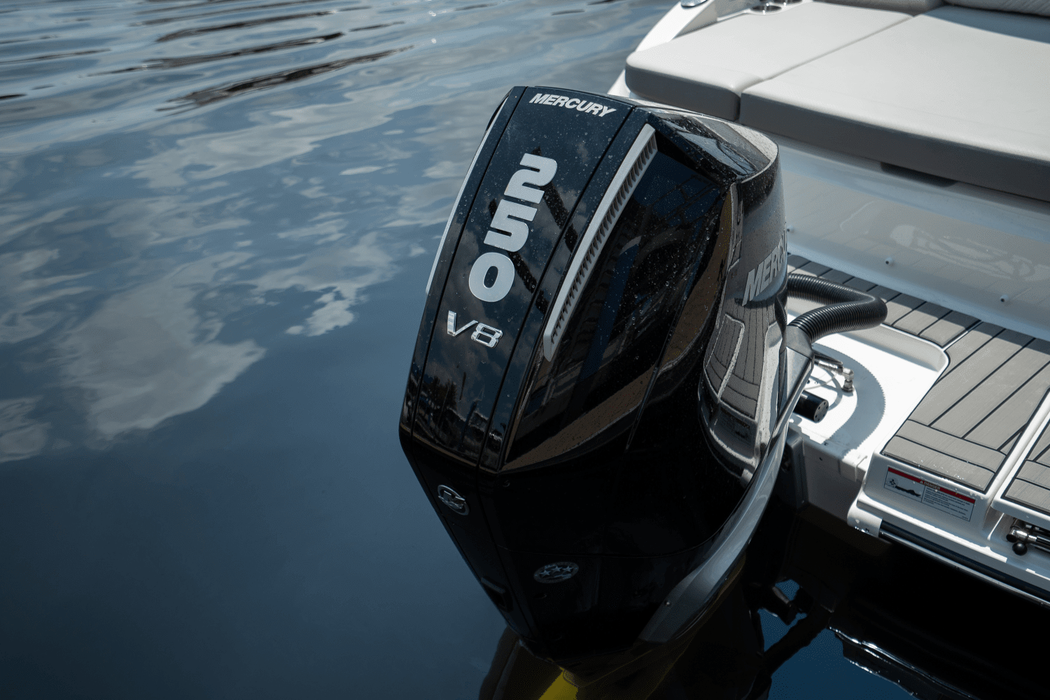 2025 Sea Ray SDX 250 Outboard Image Thumbnail #4