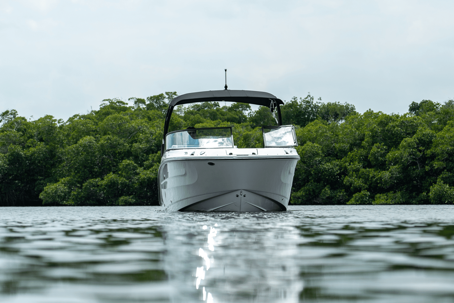 2025 Sea Ray SDX 250 Outboard Image Thumbnail #31