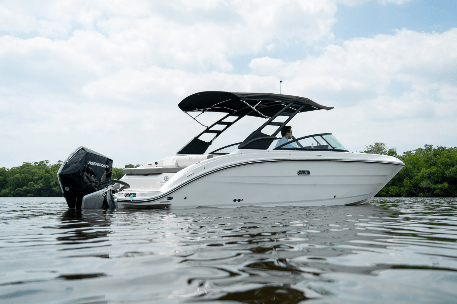 2025 Sea Ray SDX 250 Outboard Image Thumbnail #39