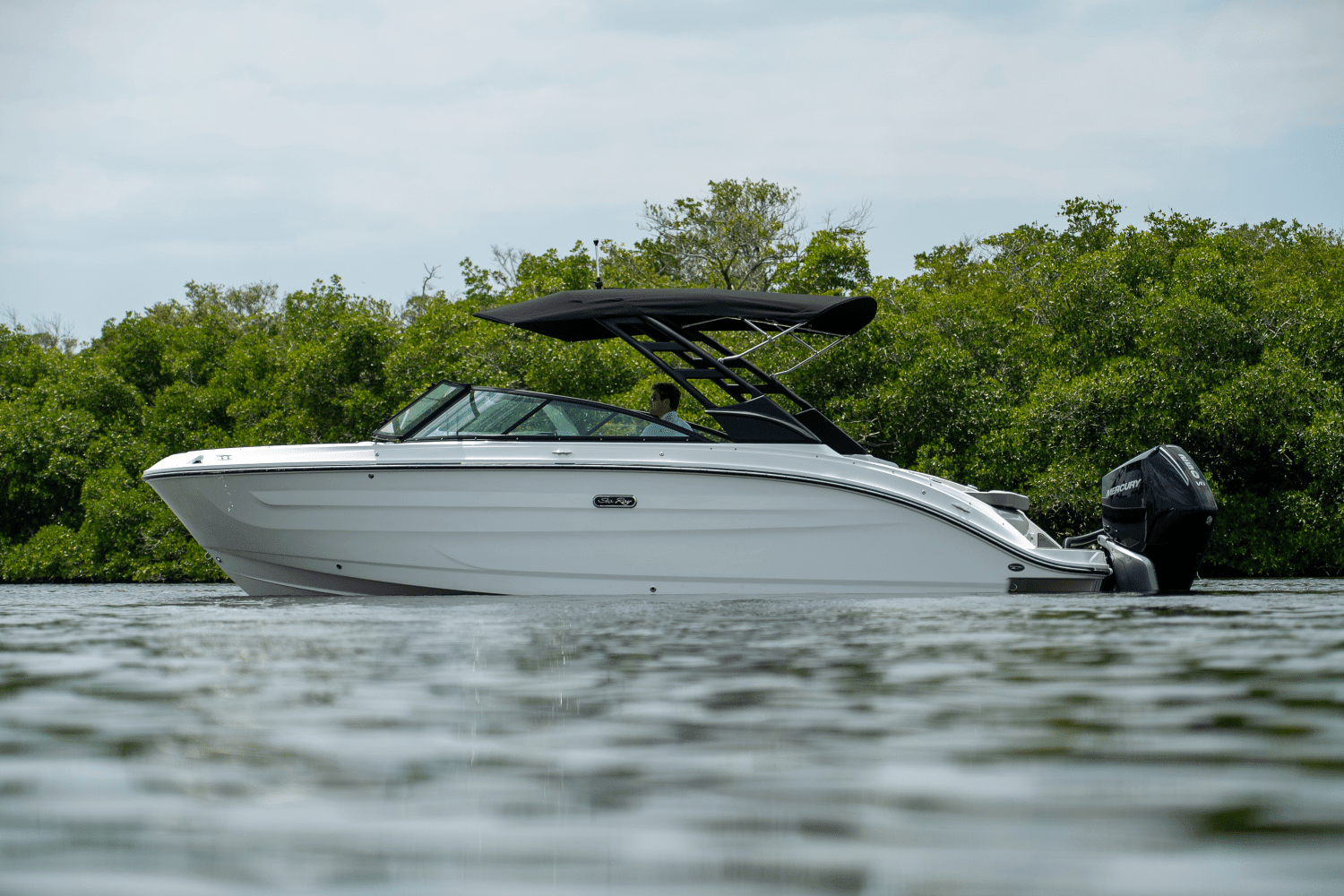 2025 Sea Ray SDX 250 Outboard Image Thumbnail #34