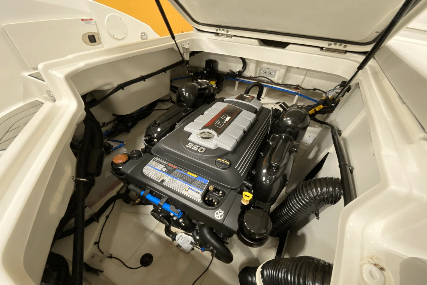 2025 Sea Ray 250 SDX Image Thumbnail #25