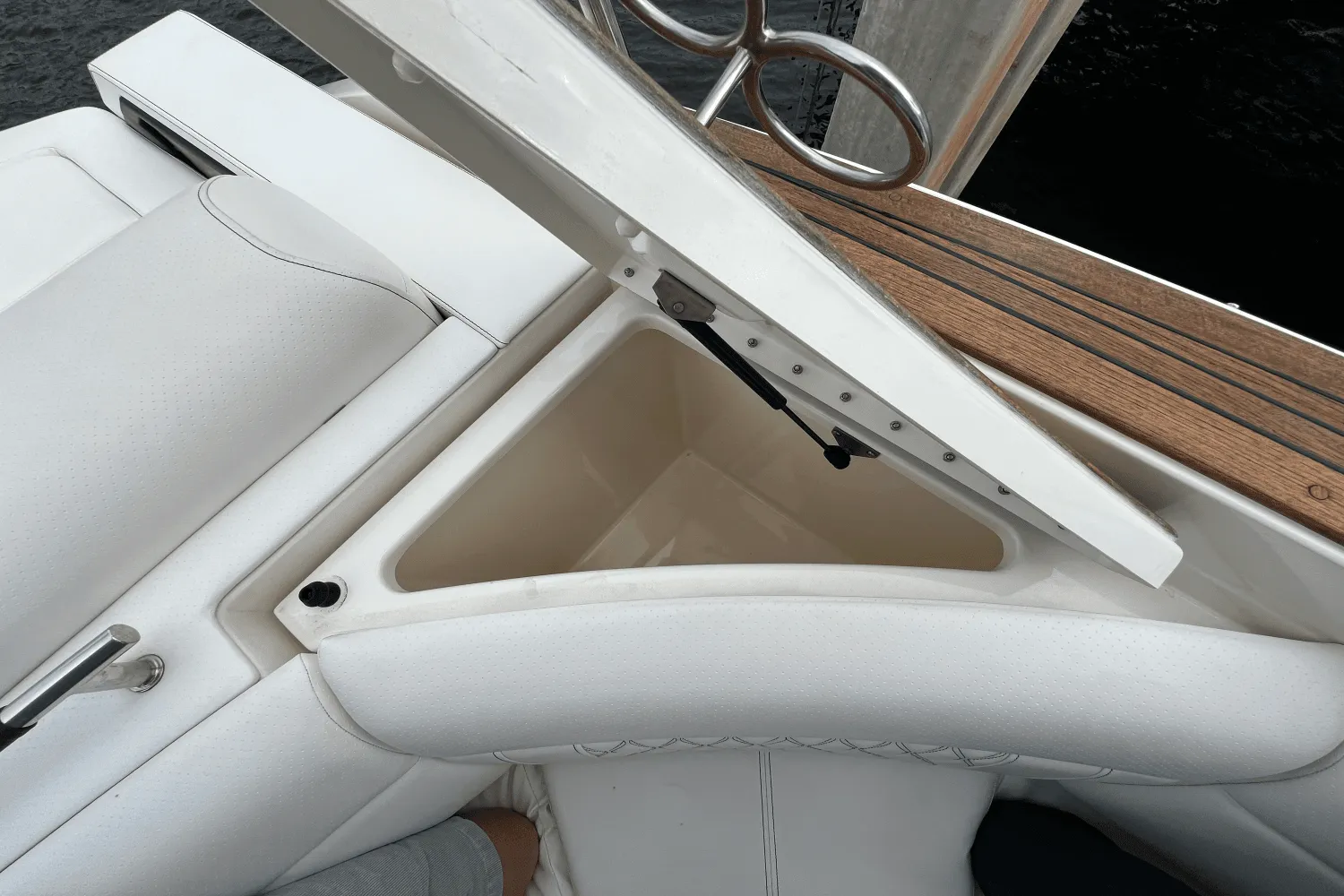 2022 Sea Ray SLX 310 Image Thumbnail #51