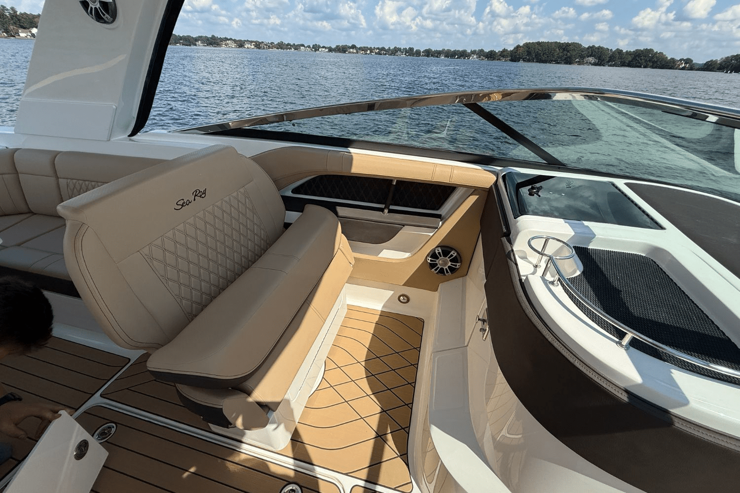 2026 Sea Ray SLX 310 Image Thumbnail #16